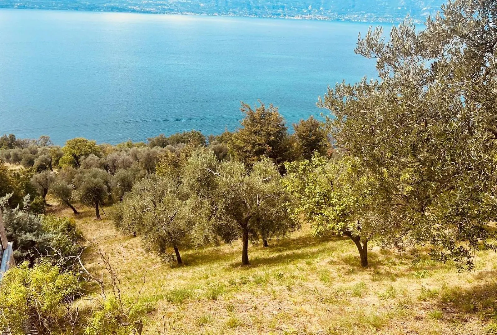 Casa vacanze Villa Loggia Anna - Torri Del Benaco